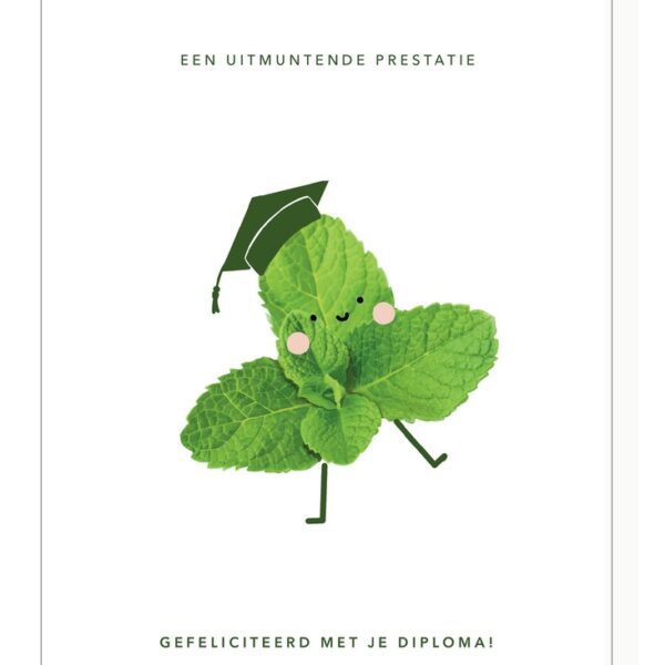 Kaartje mailbox: DP 'Een uitmuntende prestatie! Gefeliciteerd met je diploma!'