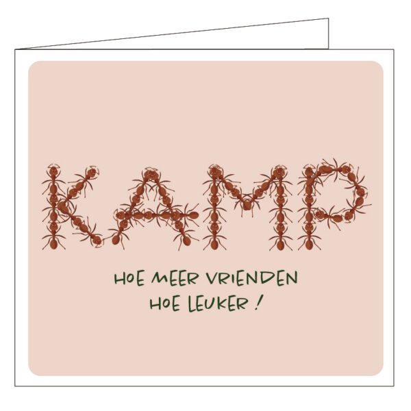 Kaartje mailbox: 'Kamp hoe meer vrienden hoe leuker!'