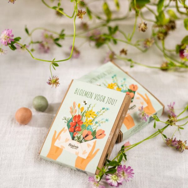 Blossombs: Mini giftbox 'Bloemen voor jou'
