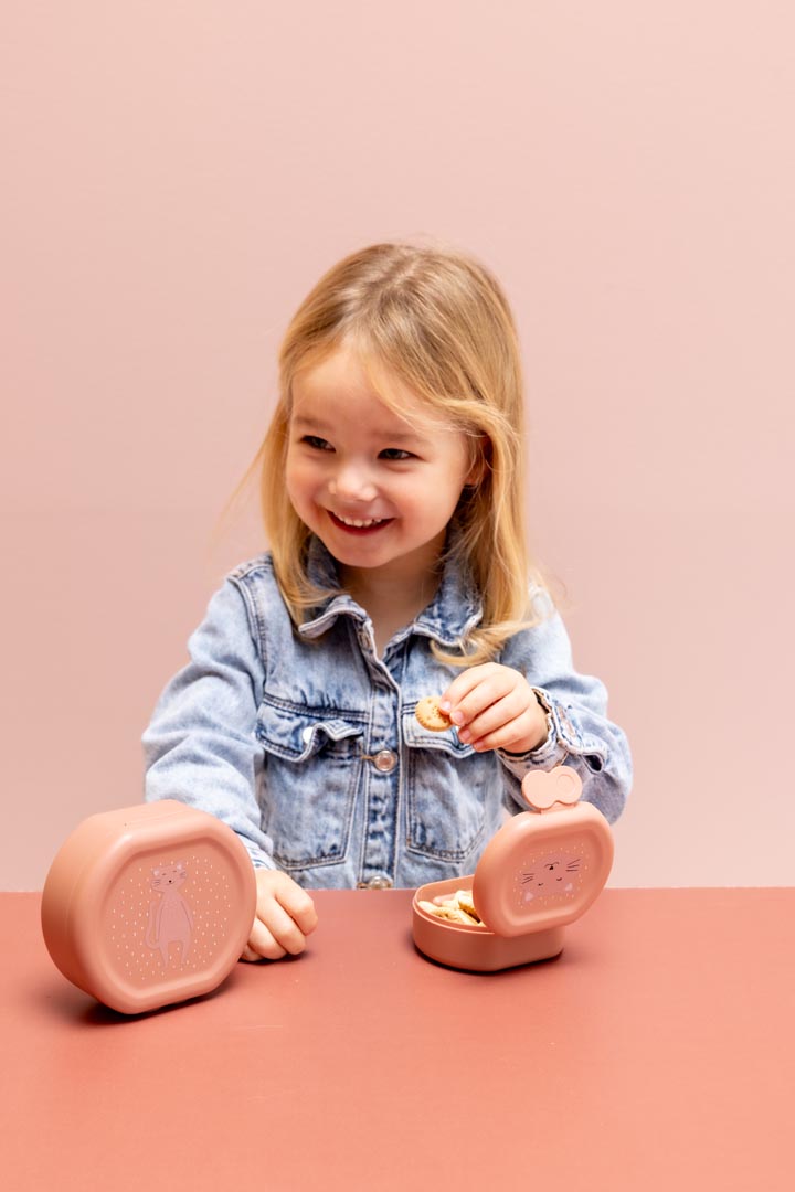 Trixie: snackbox met clip set 2-delig kat