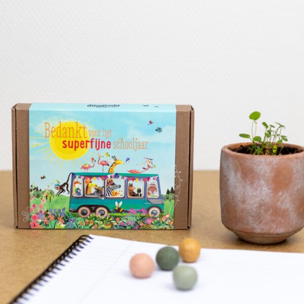 Blossombs: Giftbox 'Schooljaar'