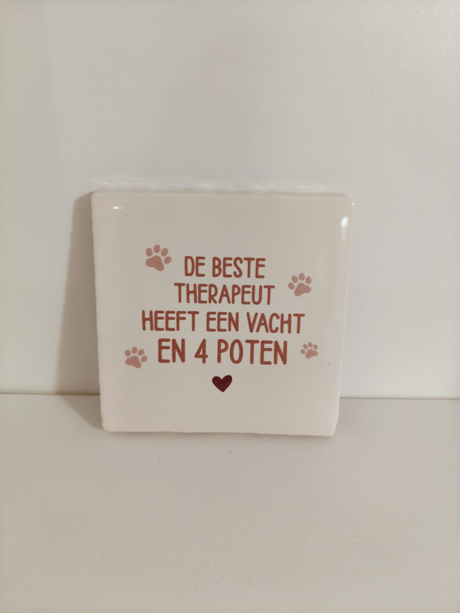 Keramieken tegeltje: 'Beste therapeut 'HOND