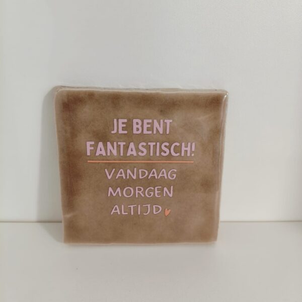 Keramieken tegeltje: 'Je bent fantastisch' taupe/roze