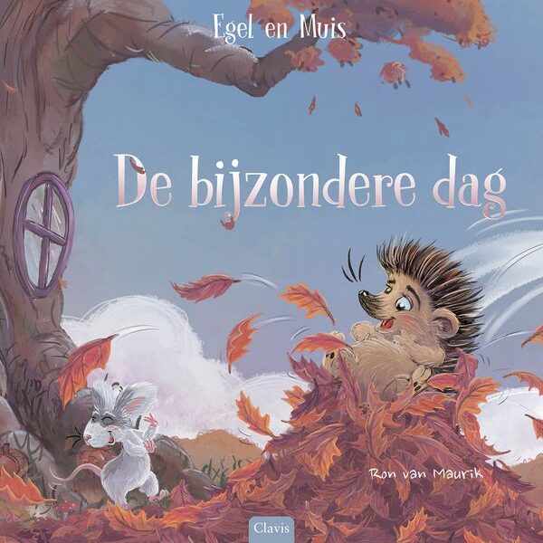 Boek: De bijzondere dag