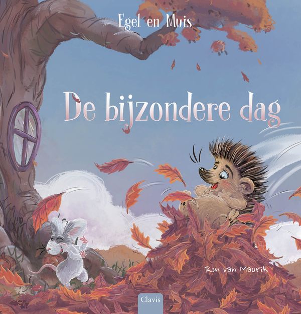 Boek: De bijzondere dag