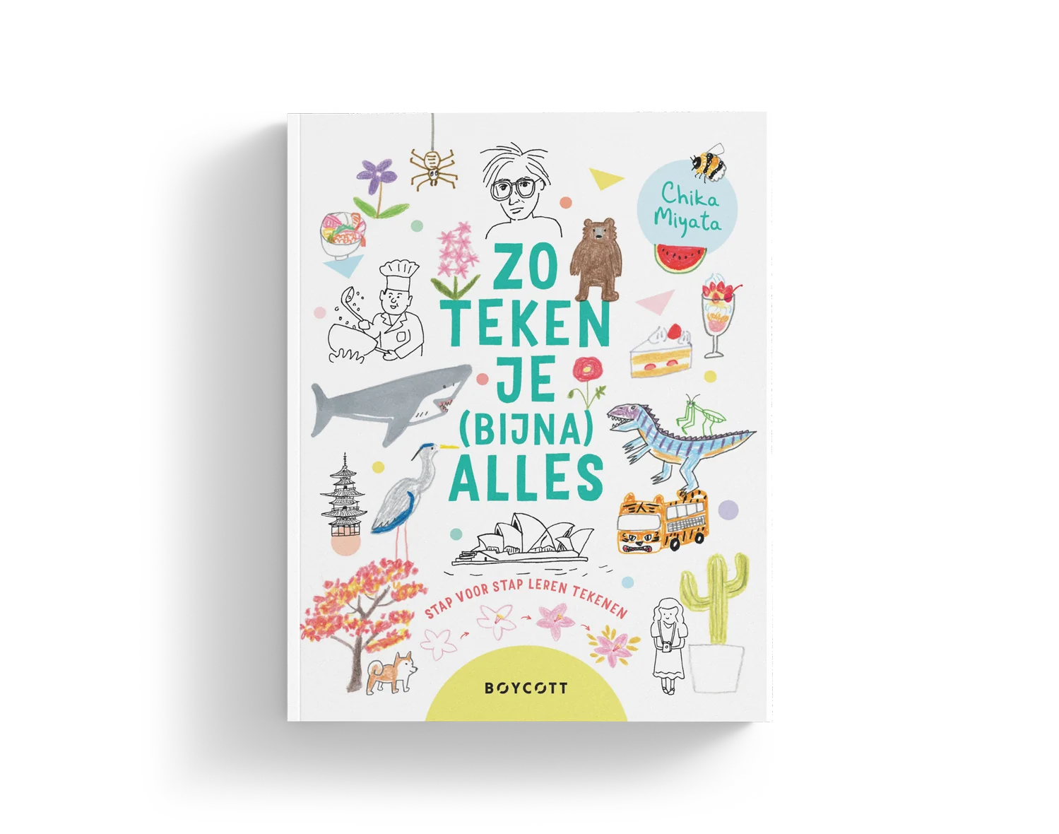 Boek: Zo teken je (bijna) alles