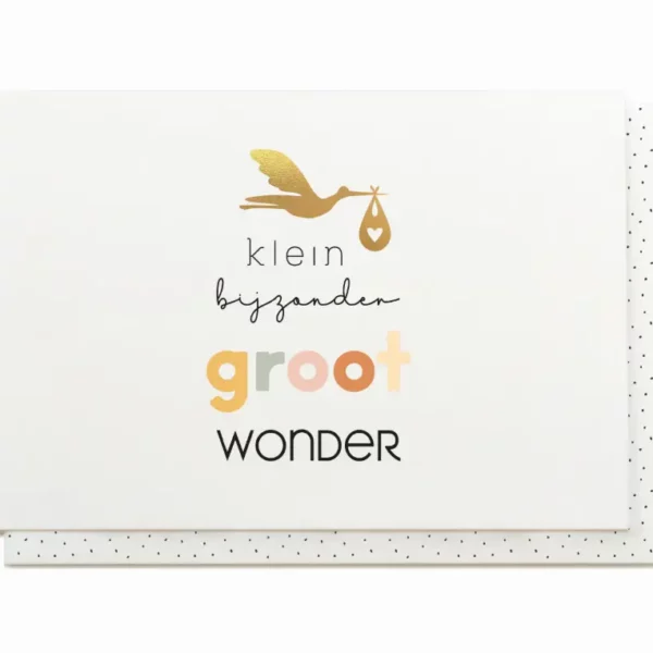 Kaartje Enfant Terrible JTS: Klein bijzonder groot wonder