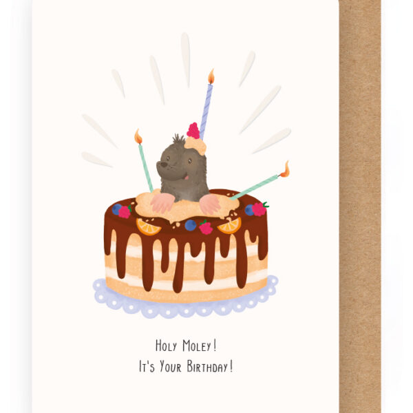 Kaartje Enfant Terrible LS: Holy moley birthday