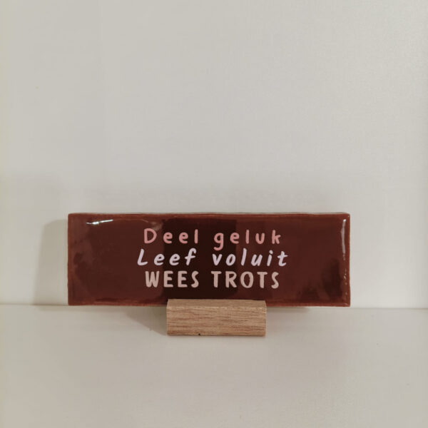 Langwerpig tegeltje: 'Deel geluk' Burg