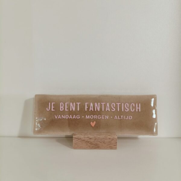 Langwerpig tegeltje: 'Je bent fantastisch' taupe/roos